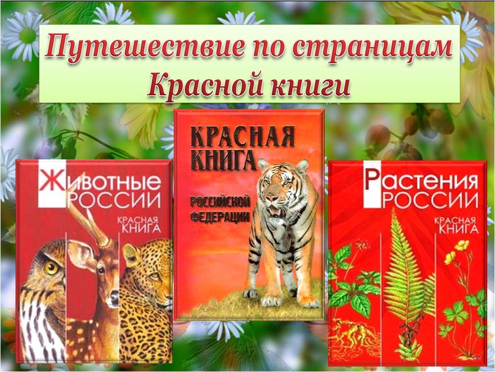 Красная Книга Красноярского Края Животные Презентация