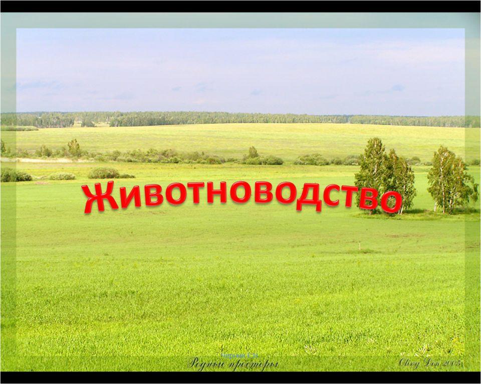Красивый маникюр на миндалевидные ногти 2018 новинки 66 фото 79 Красивый маникюр на миндалевидные ногти 2018 новинки 66 фото 77